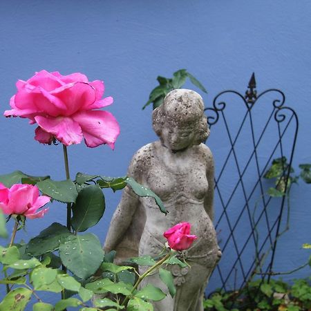 No.31 B&B Im Rosengarten Kapellen-Drusweiler Eksteriør bilde