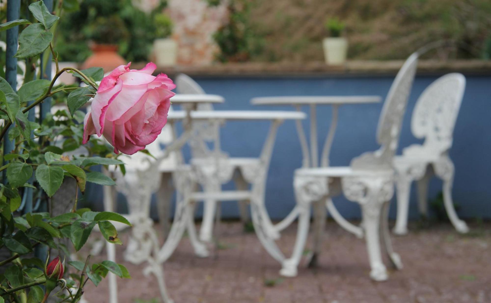 No.31 B&B Im Rosengarten Kapellen-Drusweiler Eksteriør bilde
